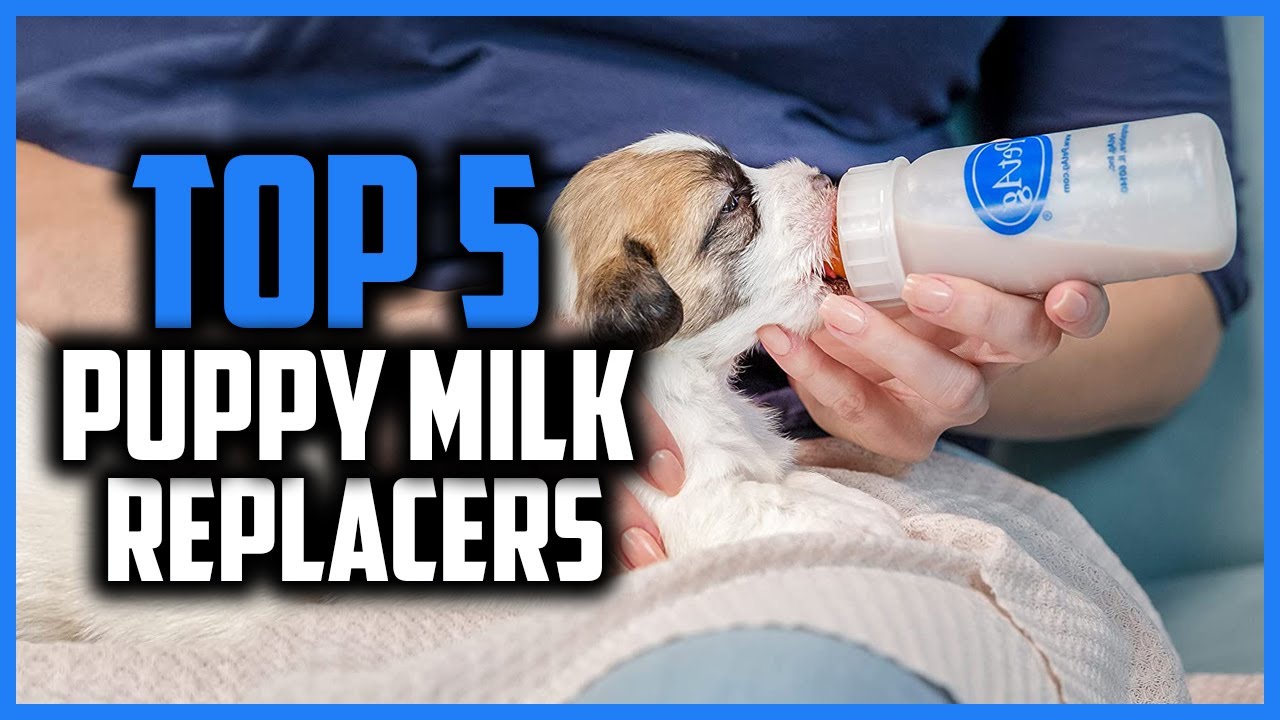 ✅ Top 5 Best Puppy Milk Replacers of 2024