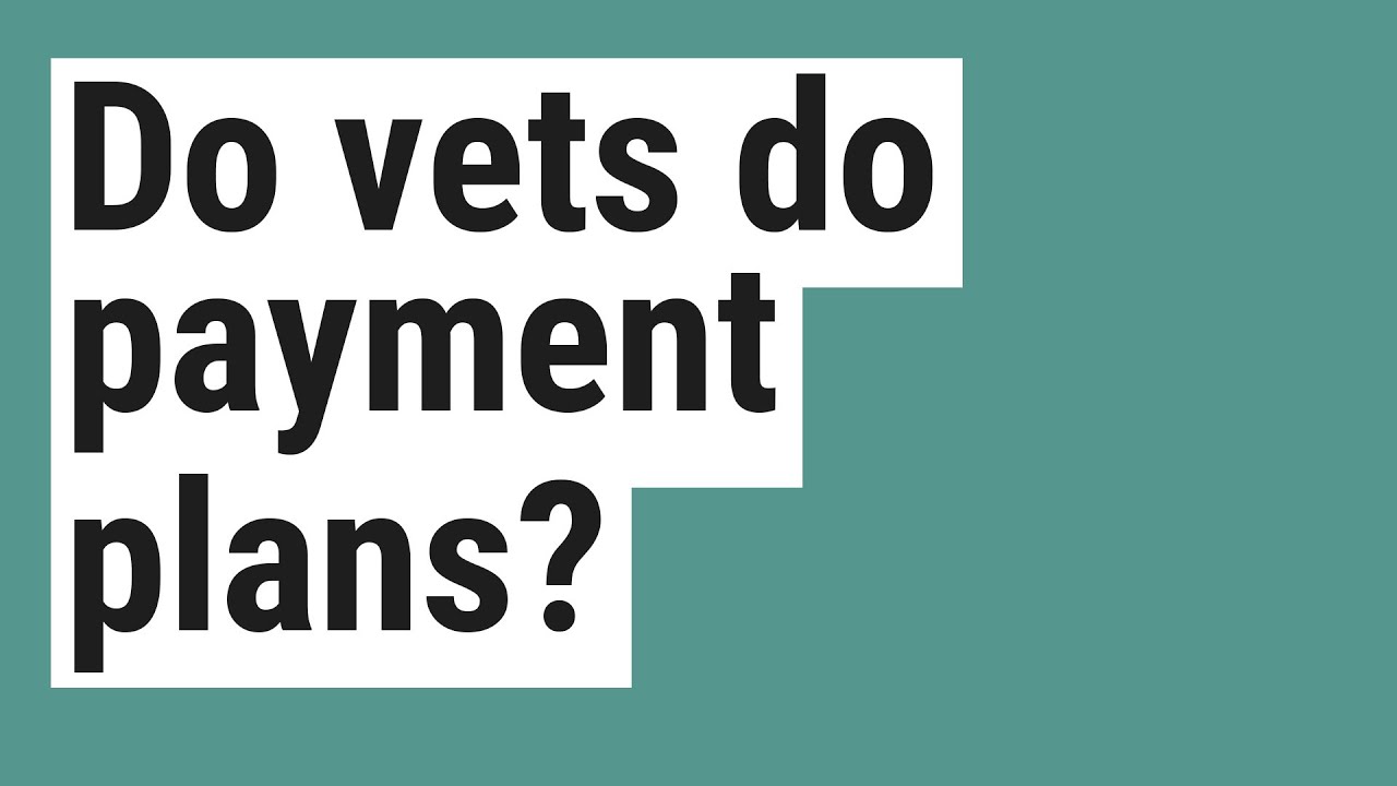 Do vets do payment plans?