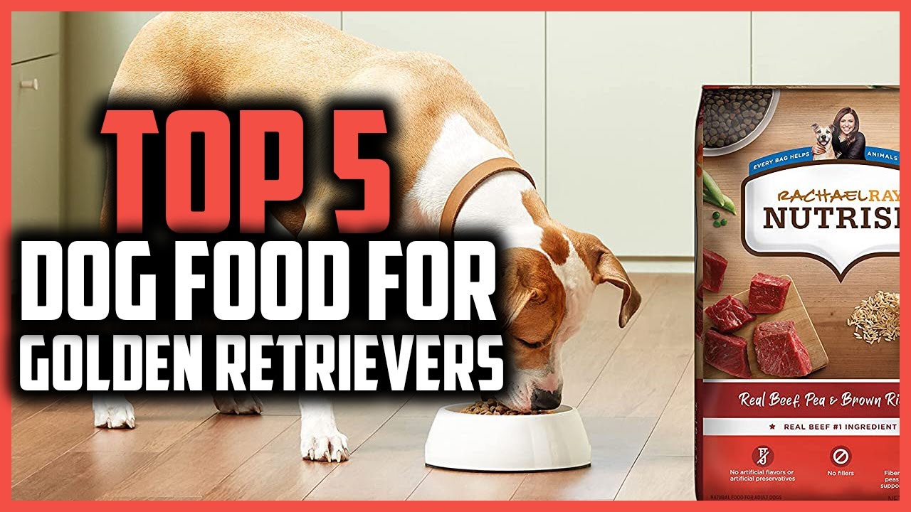 ▶️Top 5 Best Dog Food For Golden Retrievers of 2024