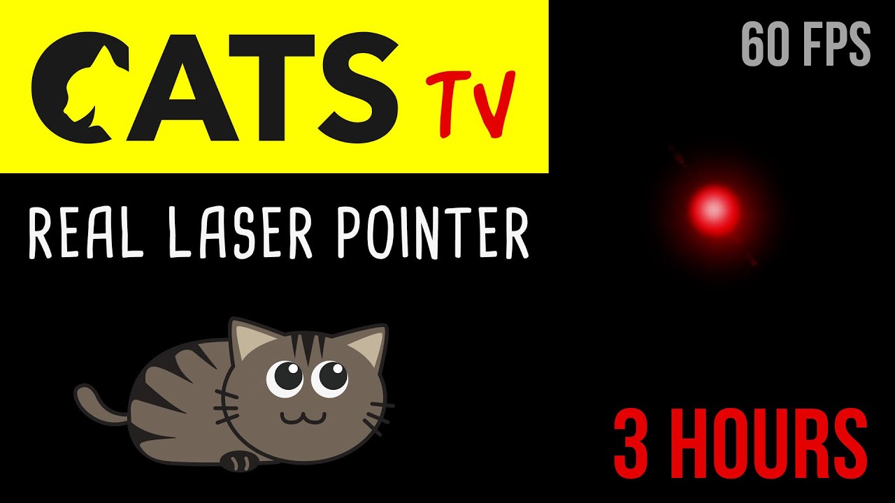 CATS TV - Real Laser Chaser 60FPS 🔴 - 3 HOURS (Video Game for Cats Only)