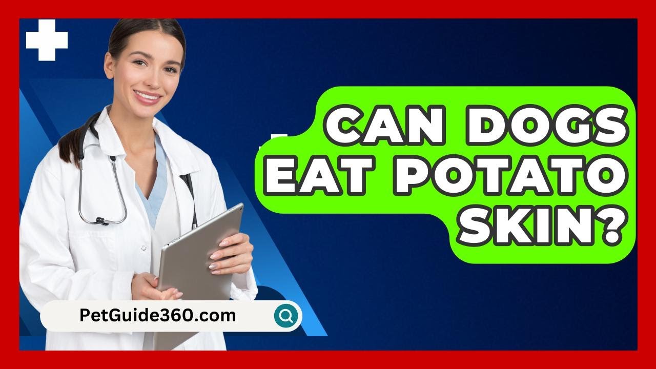 Can Dogs Eat Potato Skin? - PetGuide360.com