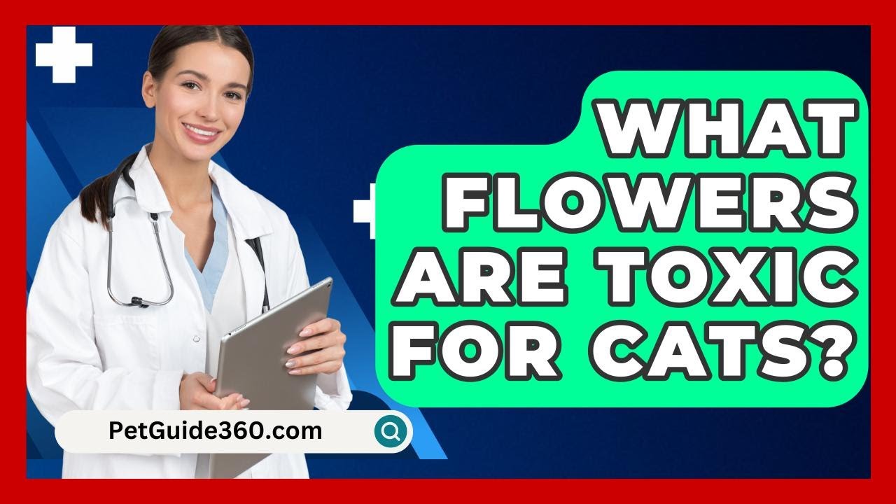 What Flowers Are Toxic For Cats? - PetGuide360.com