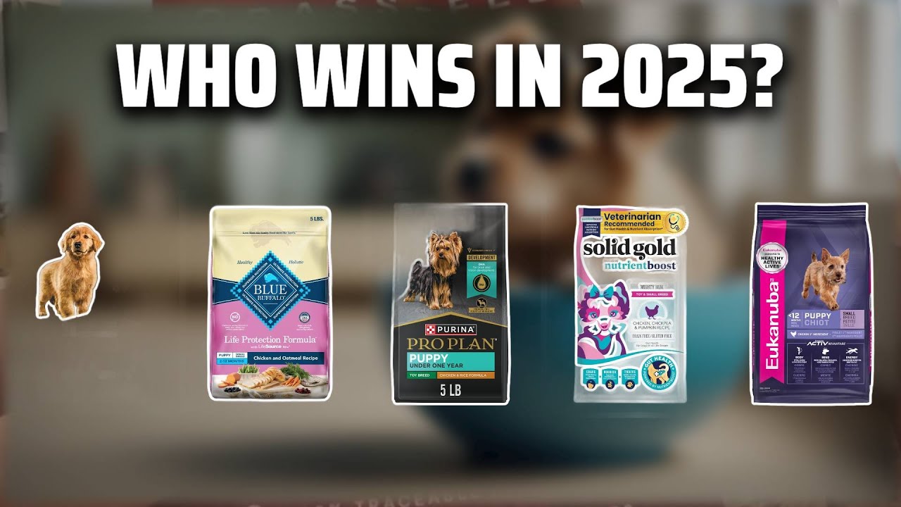 The Top 5 Best Small Breed Puppy Food in 2025 - Must Watch Before Buying!