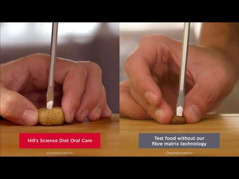 Hill’s Science Diet Oral Care brushes your pet’s teeth with every meal