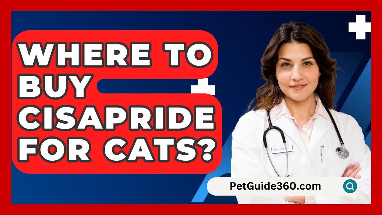 Where To Buy Cisapride For Cats? - PetGuide360.com
