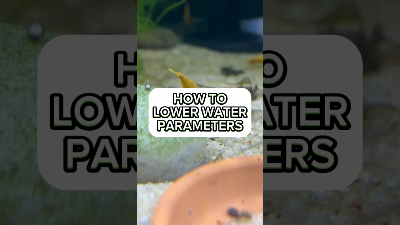 How to lower PH, GH, and KH for my fishtank (Easiest way)#fishtank #aquarium #fishkeeping #fishcare