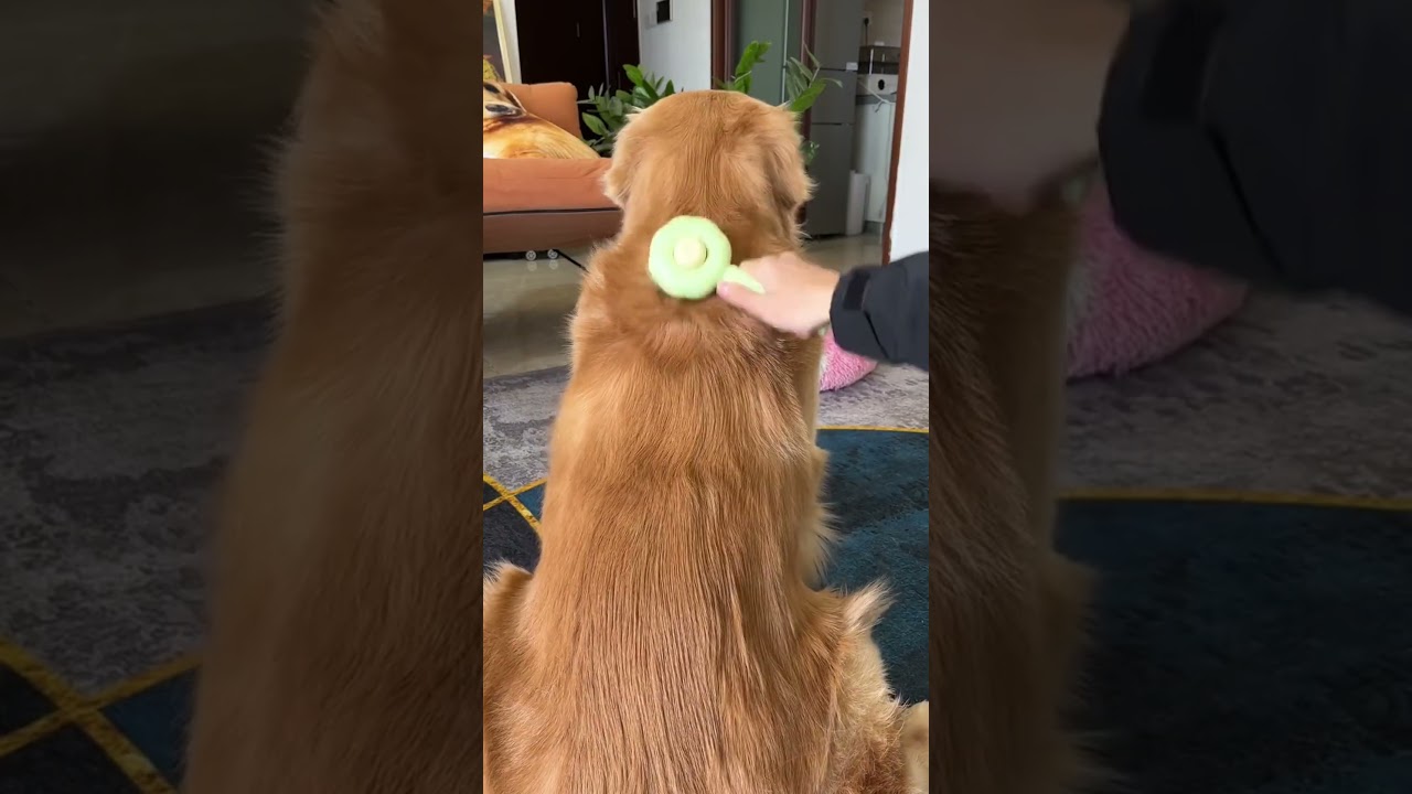 🐾✨ Tired of pet hair everywhere? Our innovative pet hair remover comb is here to save the day!