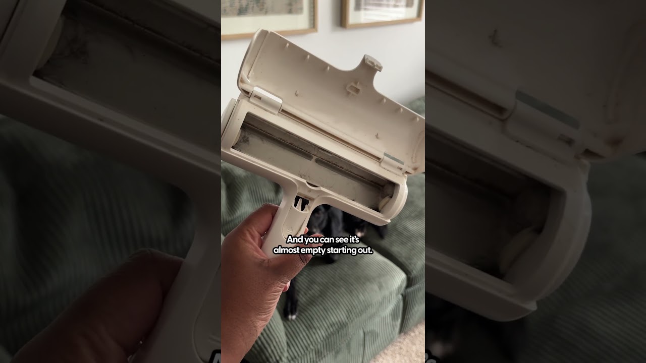 Testing Out The ChomChom Pet Hair Removal Roller | The Pack