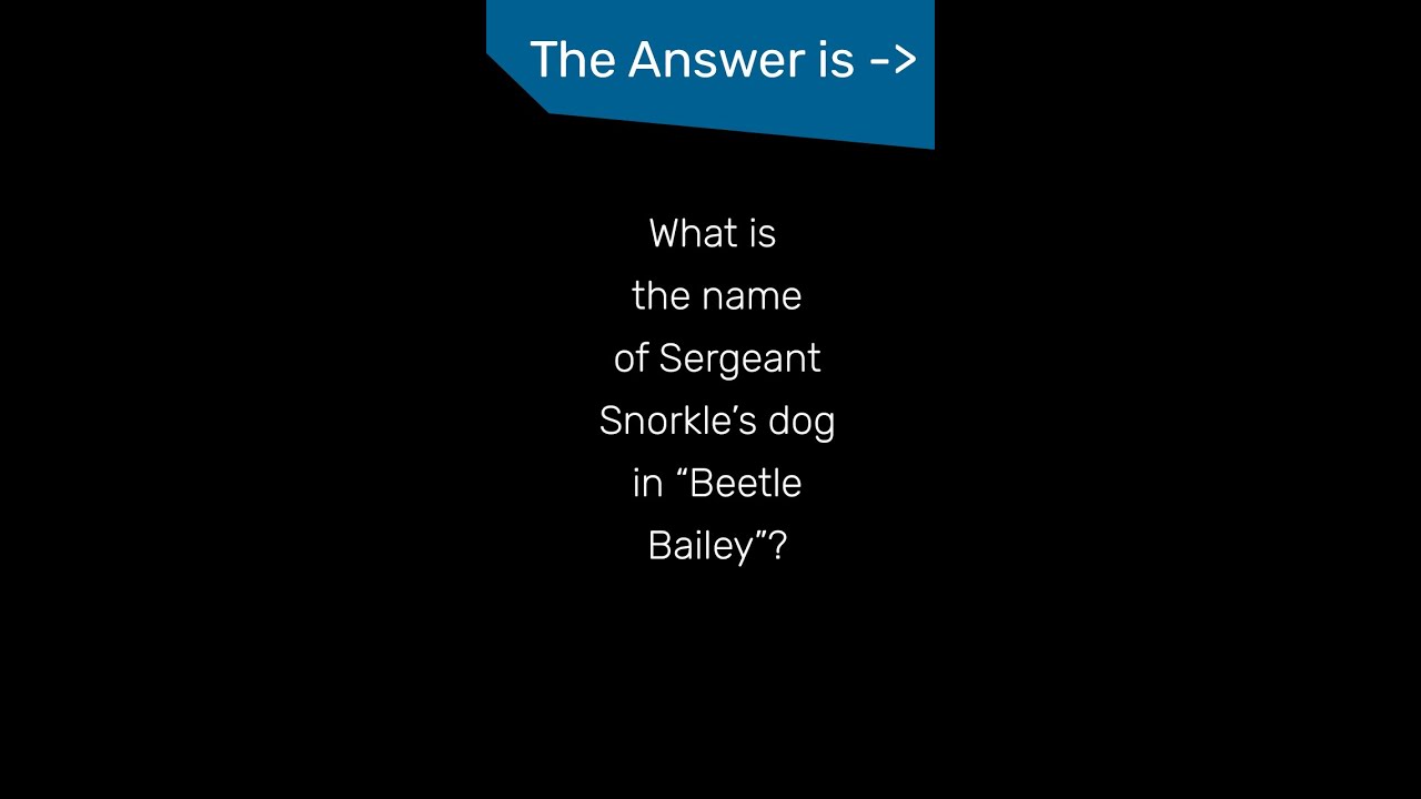 What is the name of Sergeant Snorkle’s dog in “Beetle Bailey”?