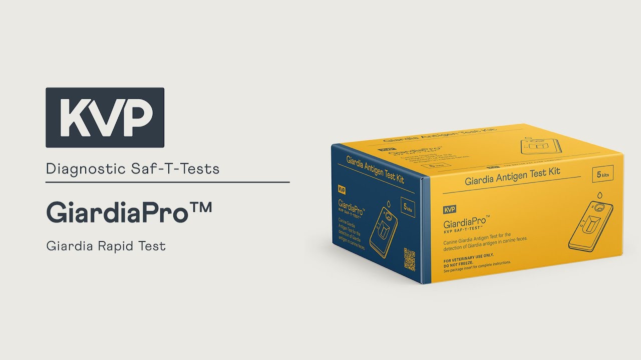 KVP Saf-T-Test GiardiaPro | How To Read Rapid Giardia Test