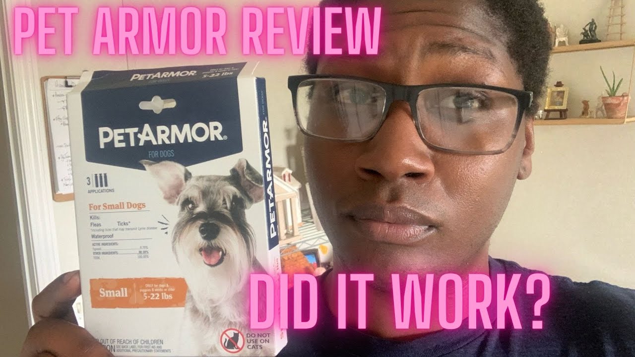 PetArmor For Dogs Review: Did It Work?