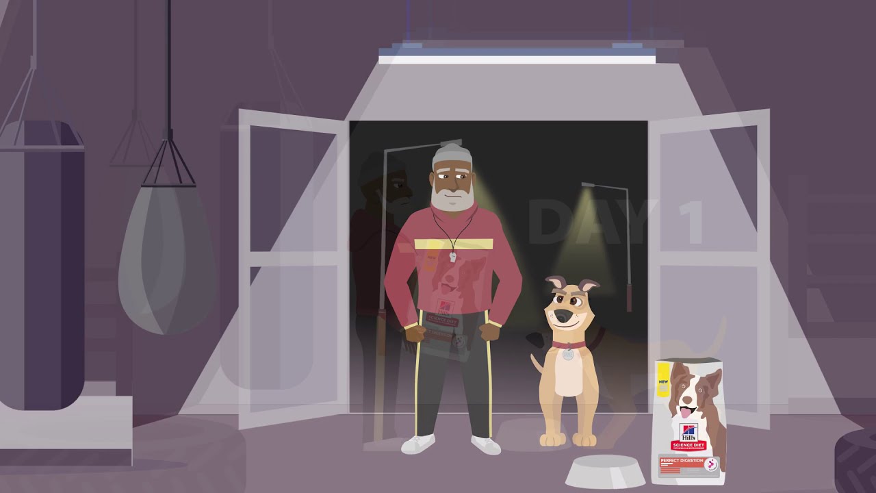 Hill’s Science Diet Perfect Digestion: Perfect Poop in 7 Days