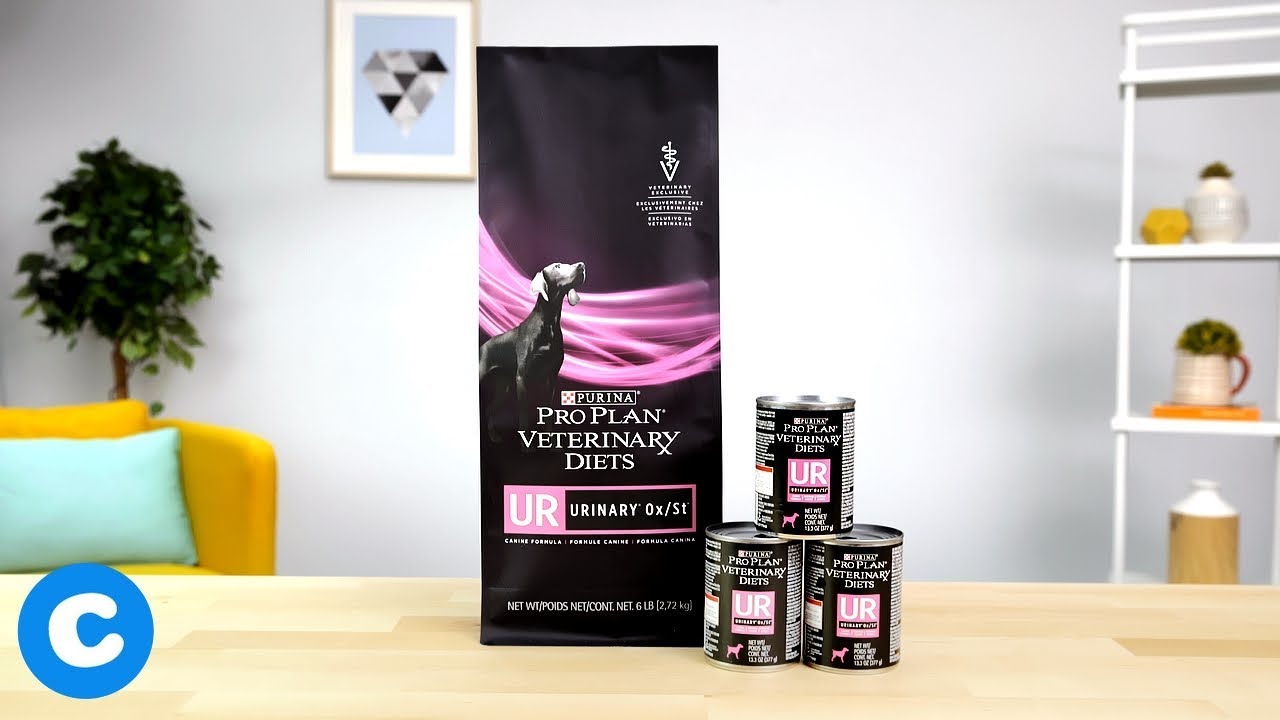 Purina Pro Plan Veterinary Diets UR Urinary Ox/St Canine Formula Dog Food