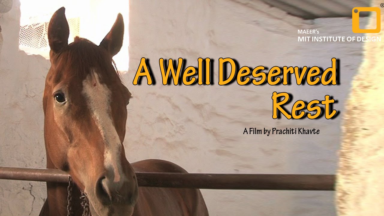 A Well Deserved Rest - Documentary Film | The Life Of A Race Horse