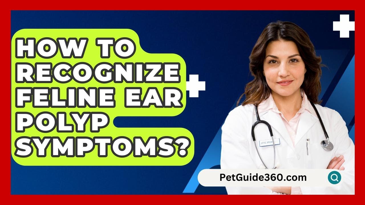 How To Recognize Feline Ear Polyp Symptoms? - PetGuide360.com