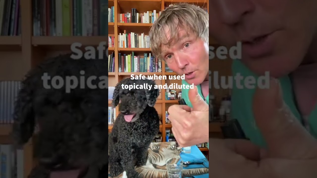 Essential Oils TOXIC to Dogs?