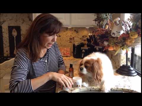 How to: Eye Envy Tear Stain Remover for Dogs
