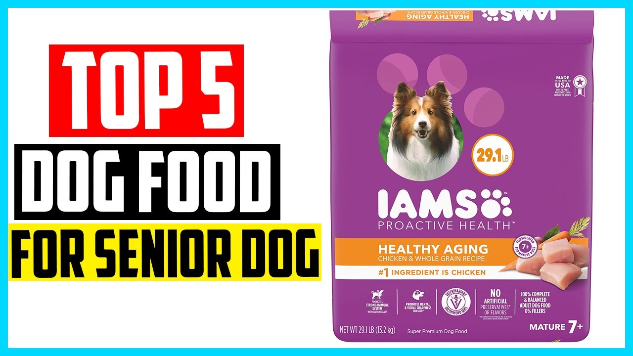 ✅Best dog food for senior dogs in 2024