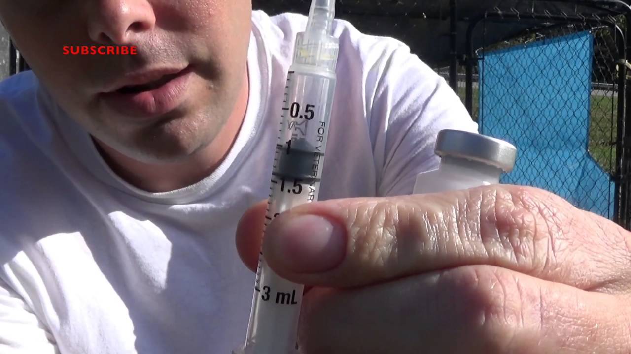 Ivomec 1%,  Dog Dewormer