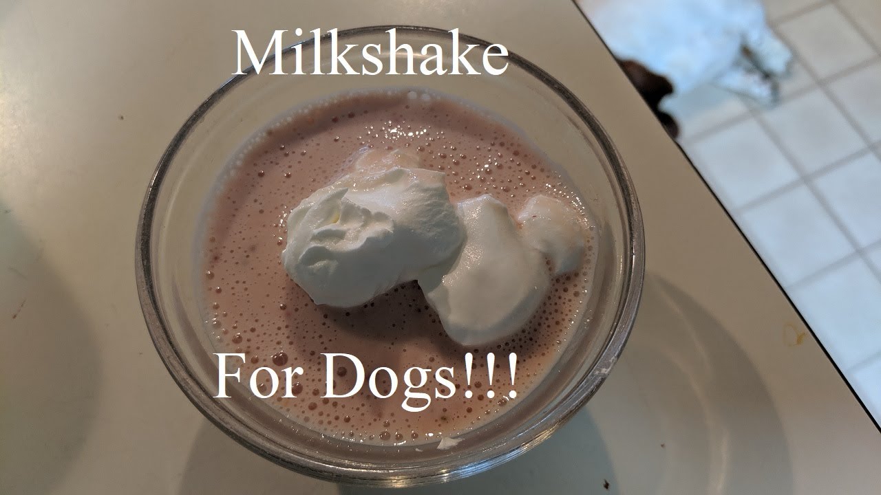 Strawberry Dogshake! DIY Milkshake For Dogs.