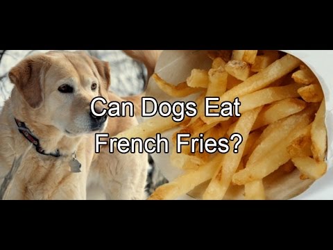 Can Dogs Eat French Fries?