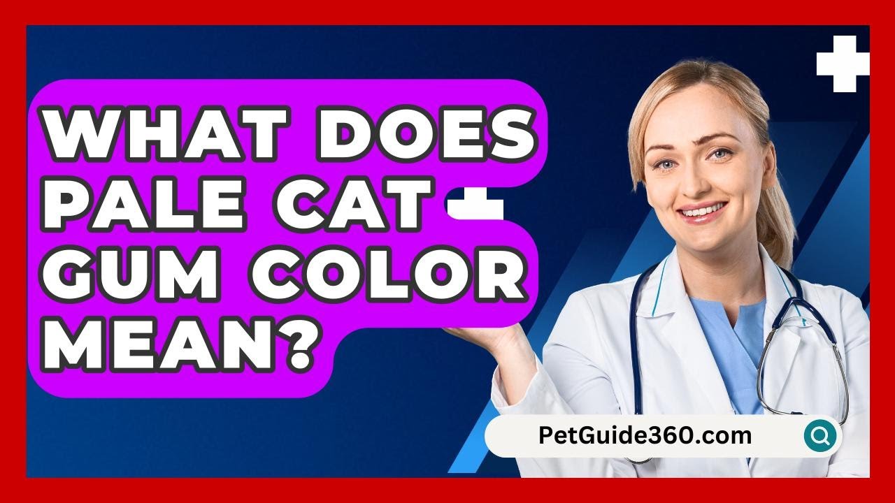 What Does Pale Cat Gum Color Mean? - PetGuide360.com