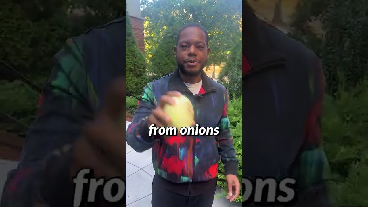 Can a dog eat onions?