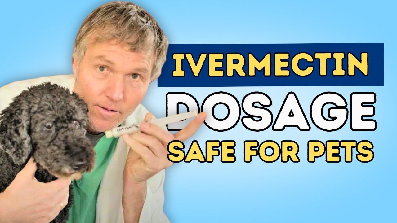 Ivermectin for Cancer in Dogs: Doses and Regimens