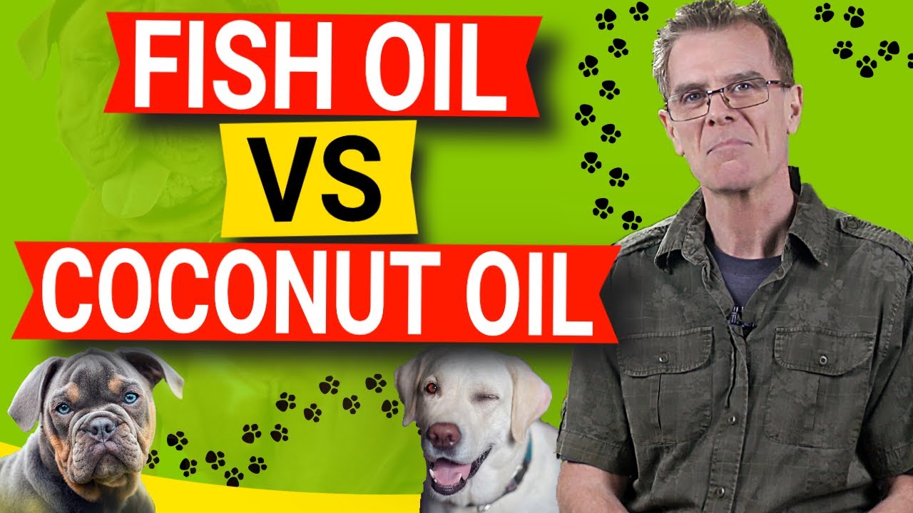 Fish Oil For Dogs vs Coconut Oil (MCT Oil) Which Is Better