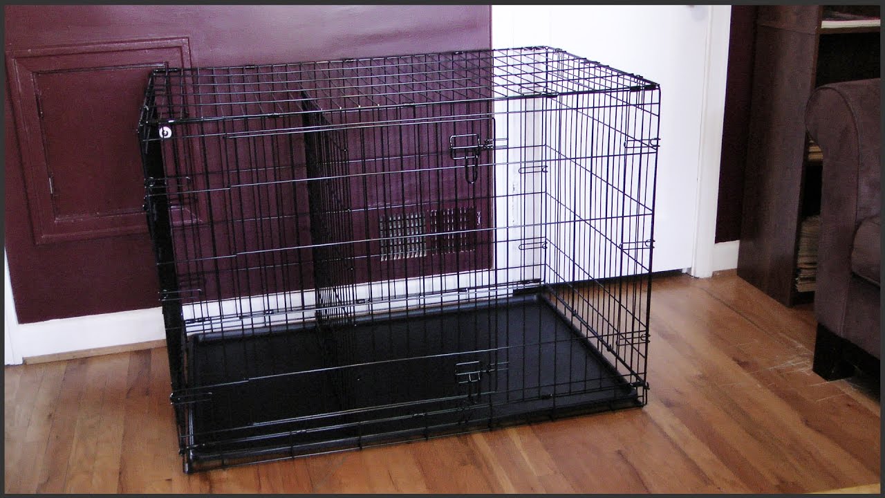 Dog Crate Setup