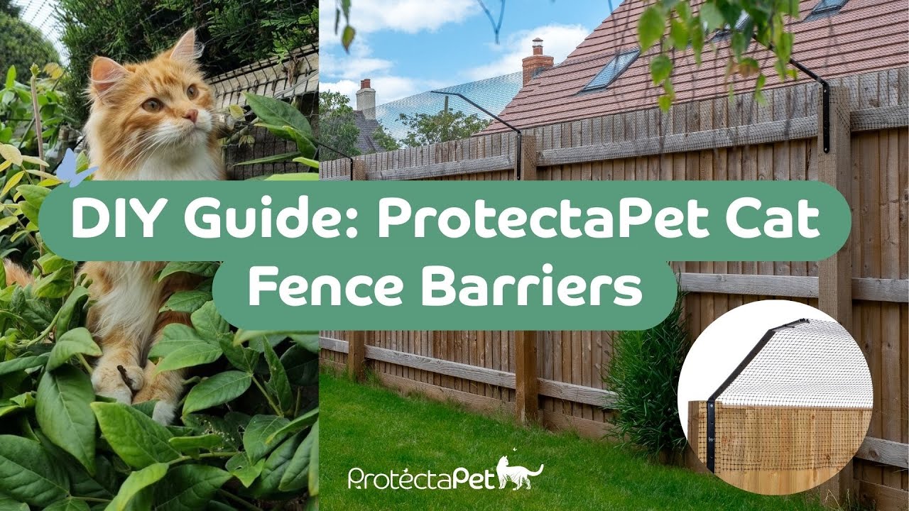 🐱🔧 DIY Guide: How to Install ProtectaPet Cat Fence Barriers