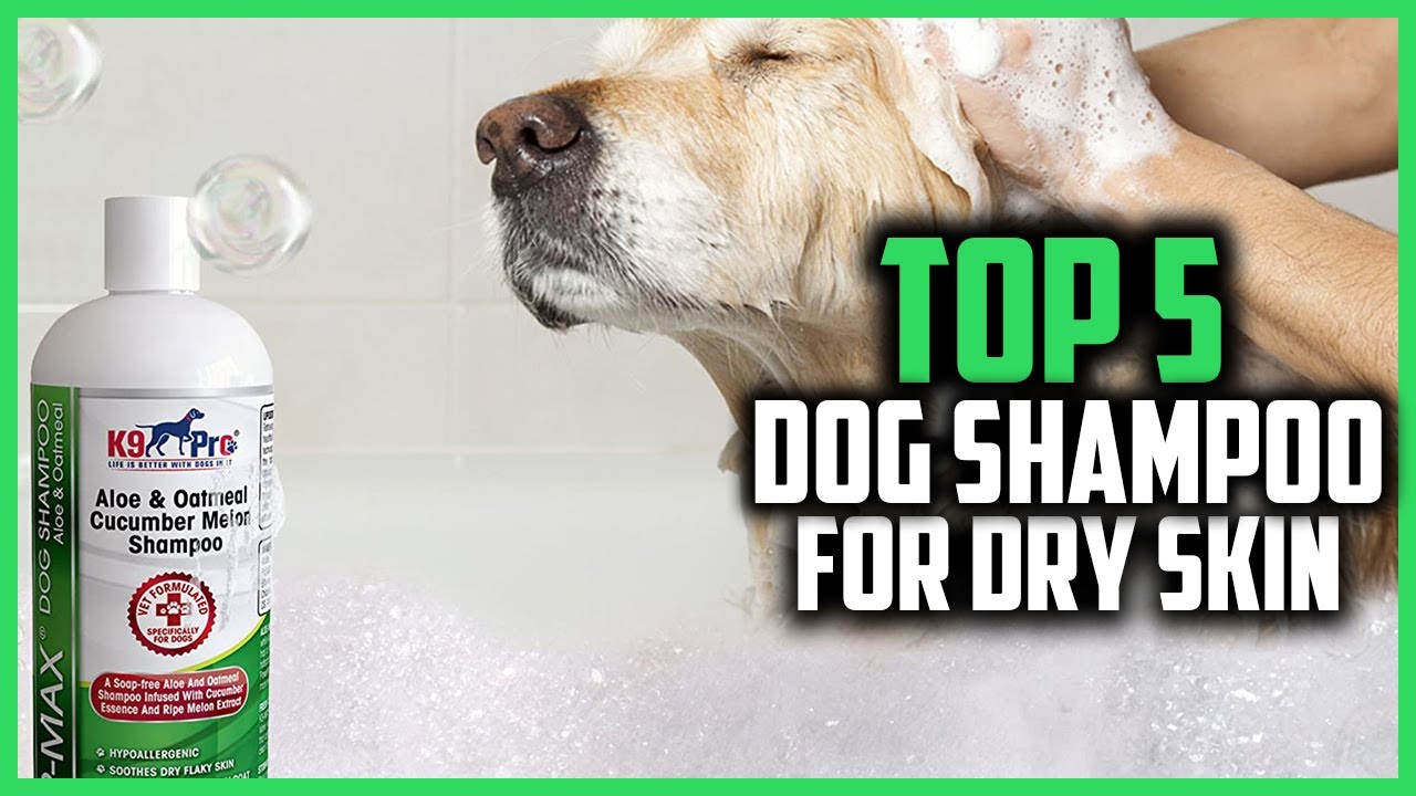 ✅ Top 5 Best Dog Shampoo For Dry Skin of 2024