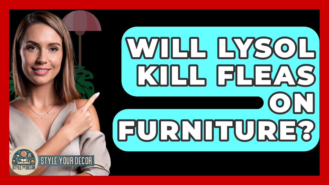 Will Lysol Kill Fleas On Furniture? - Style Your Decor