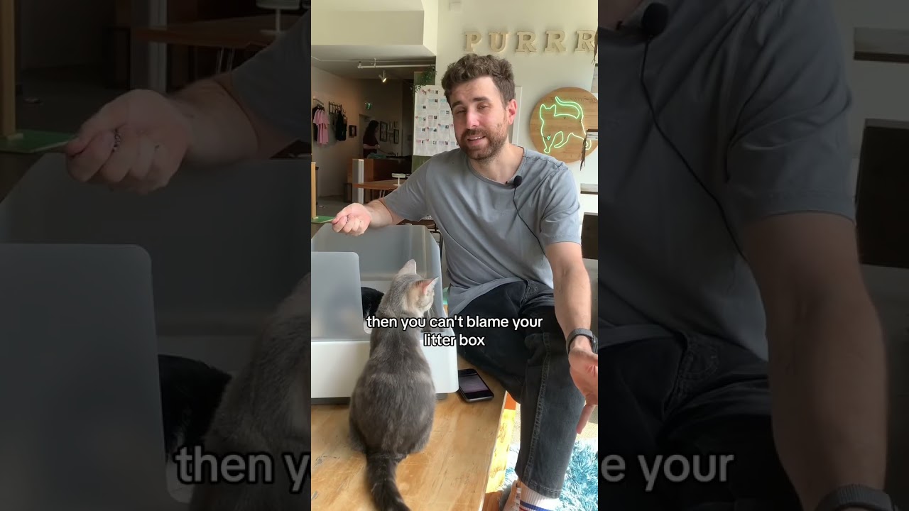 Does your apartment SMELL like cat litter?