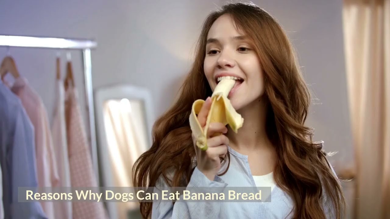 Can Dogs Eat Banana Bread?