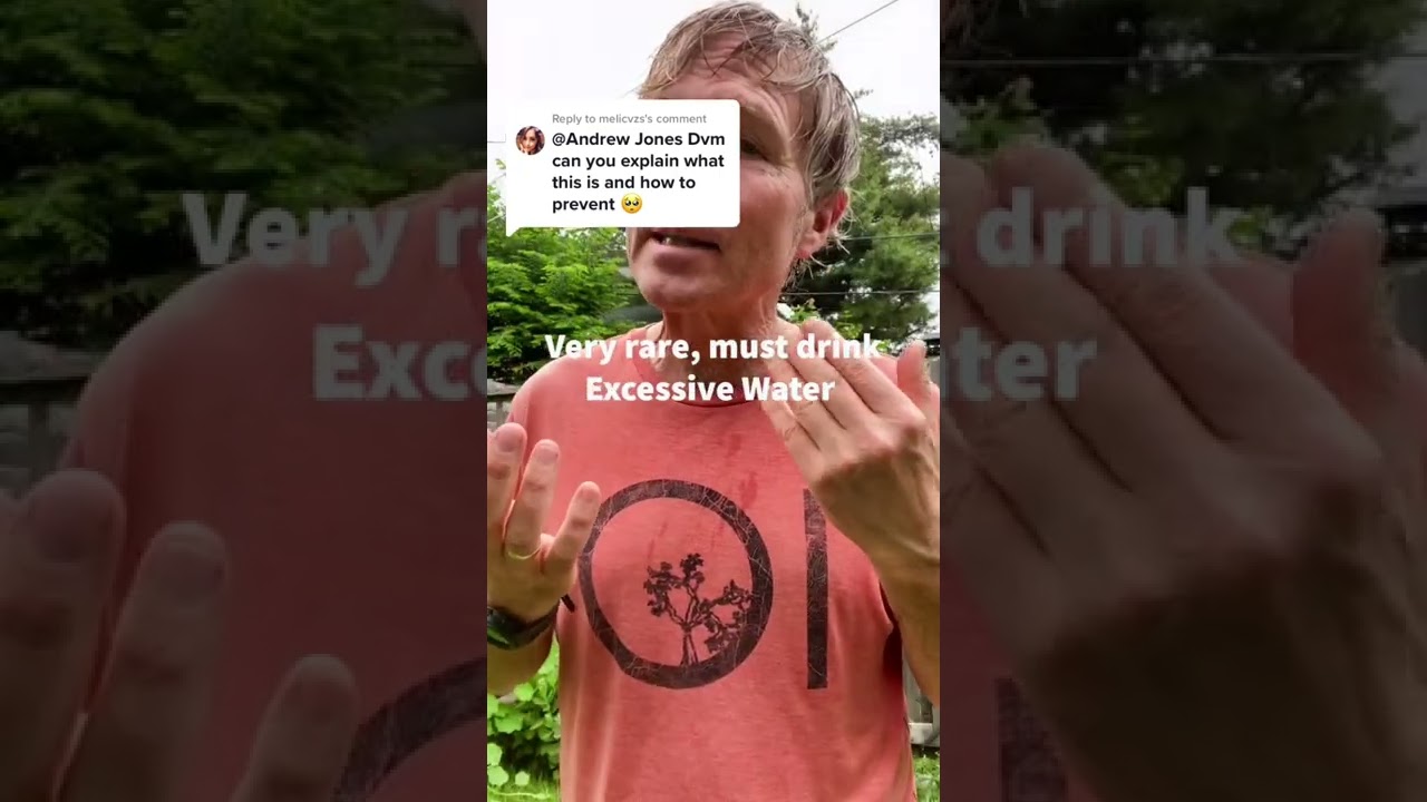 Water Intoxication in Dogs