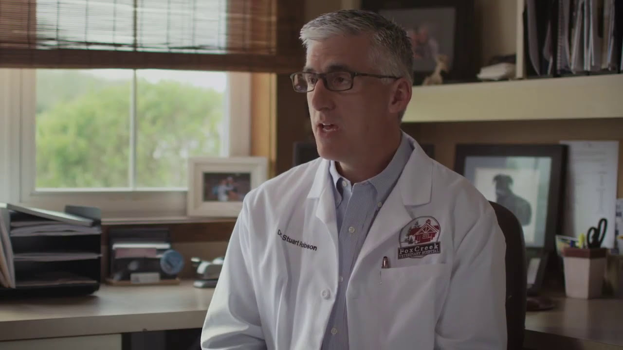 FortiFlora | What Do Veterinarians Think About It?
