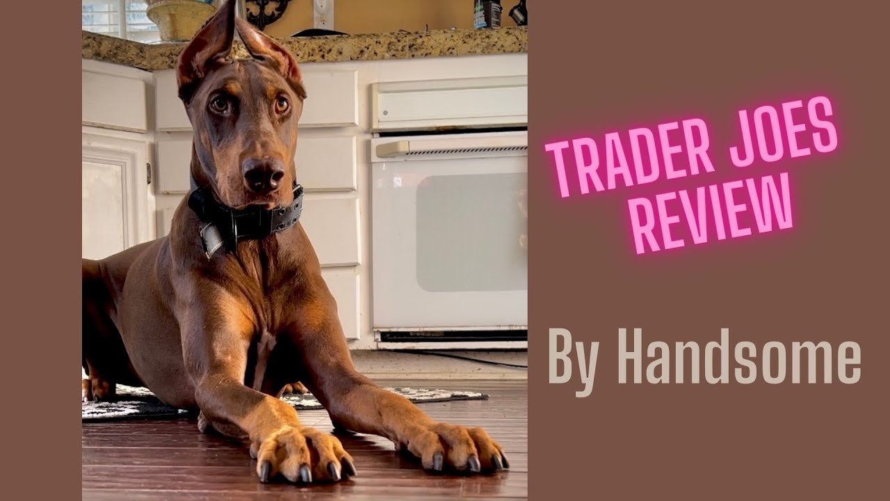 Trader Joe’s pet treats. Do dogs like Salmon skin? What snacks do Dobermans like? Pet snacks for dog