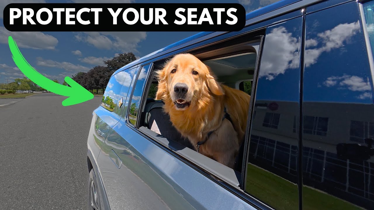 Best Dog Car Hammock on Amazon? Every Pet Owner Needs This