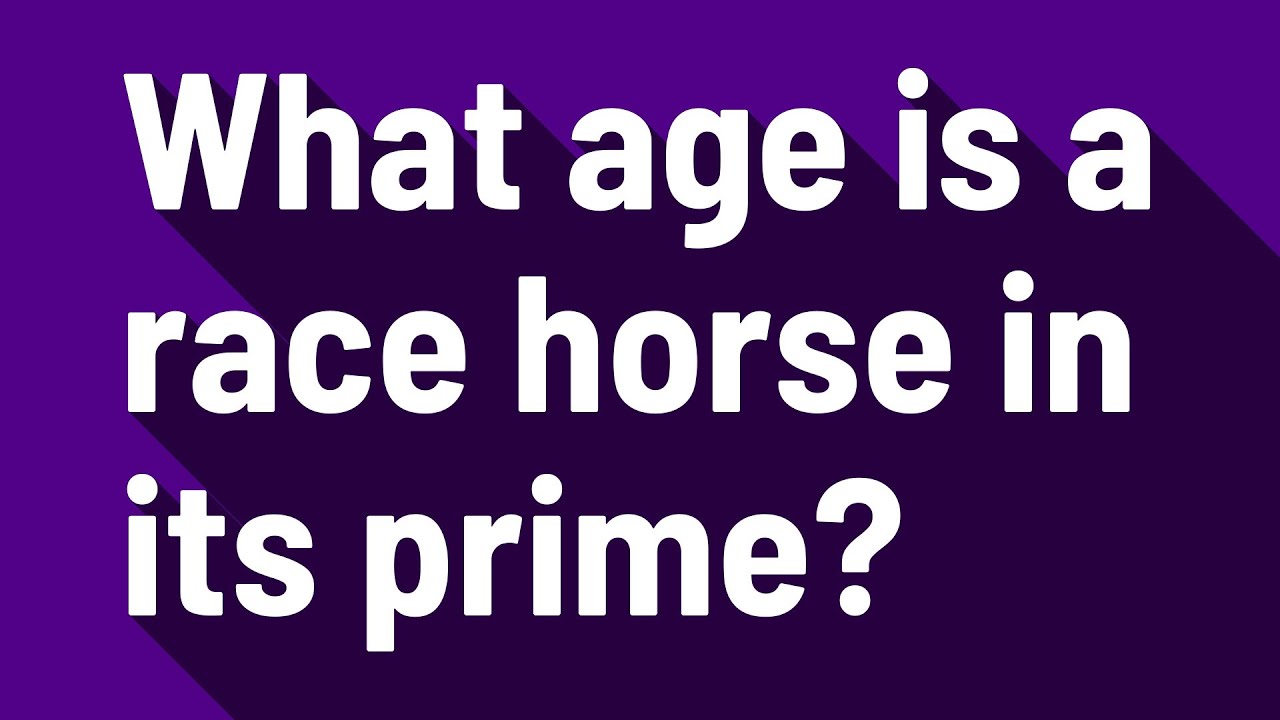 What age is a race horse in its prime?