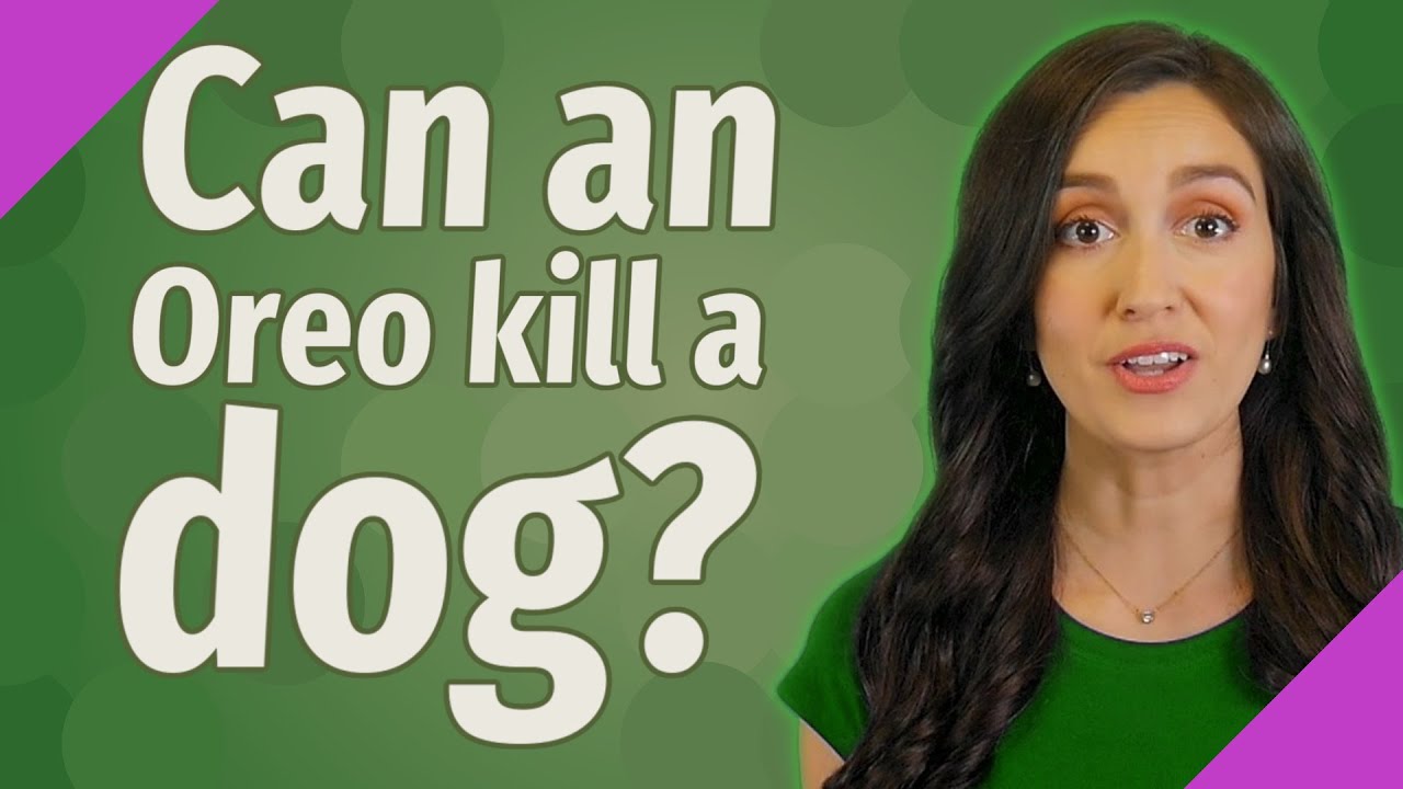 Can an Oreo kill a dog?