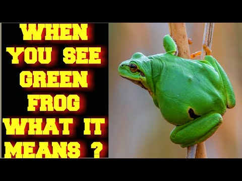 WHEN YOU SEE A GREEN FROG WHAT DOES IT MEAN ?
