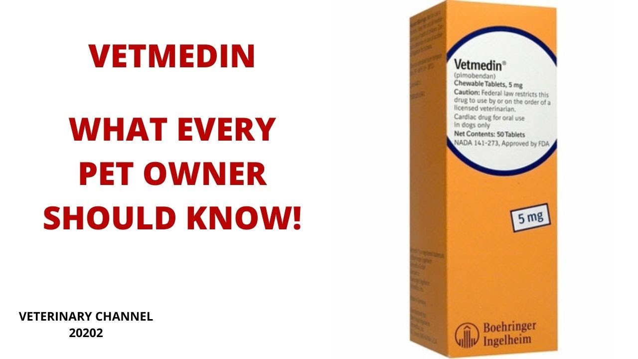 What Every Pet Owner Should Know About The Use Of Vetmedin | Pimobendan Side Effects