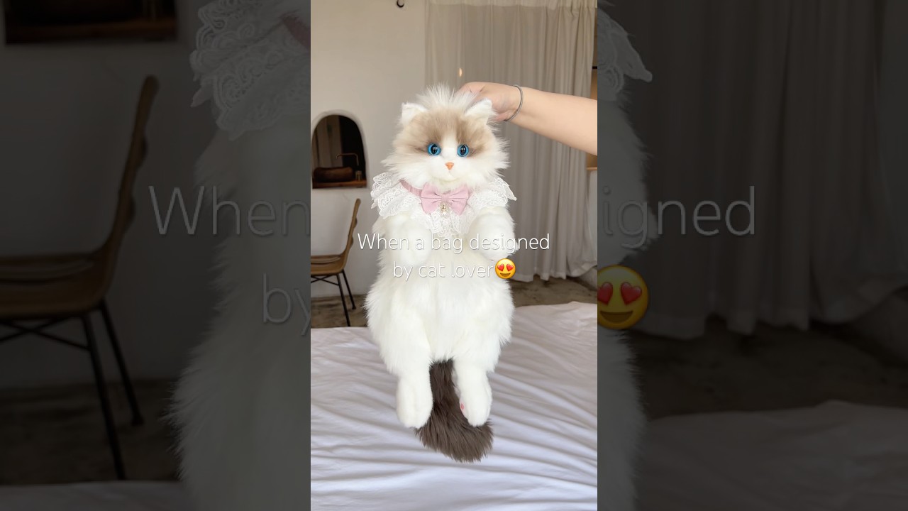 Do you like Ragdoll cat?#chongker #catbag #gifts