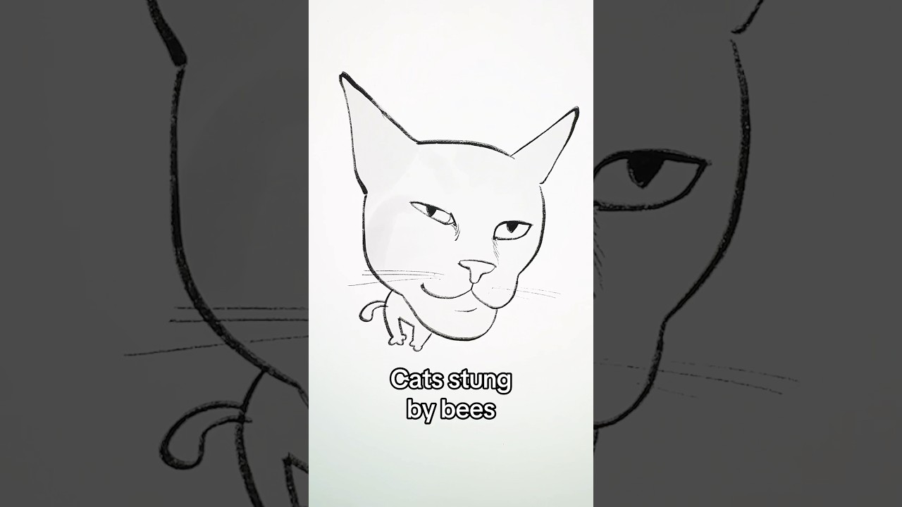 Cats stung by bees