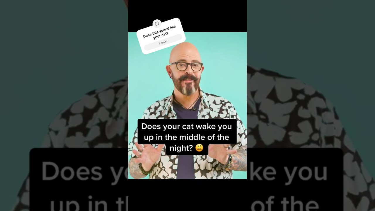 Does your cat wake you up at night? #cats #catvideos #catbehavior