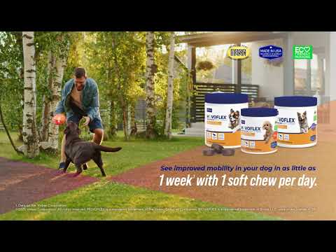 MOVOFLEX Advanced Joint Support for Dogs