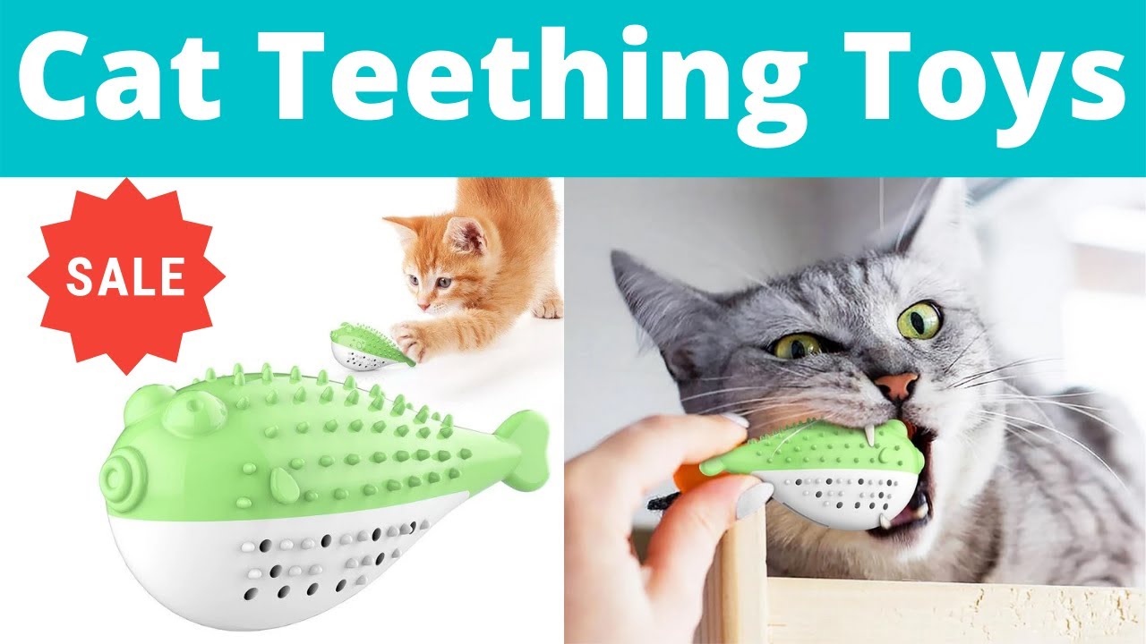 Cat Teething Toys | Kitten Teething Toys