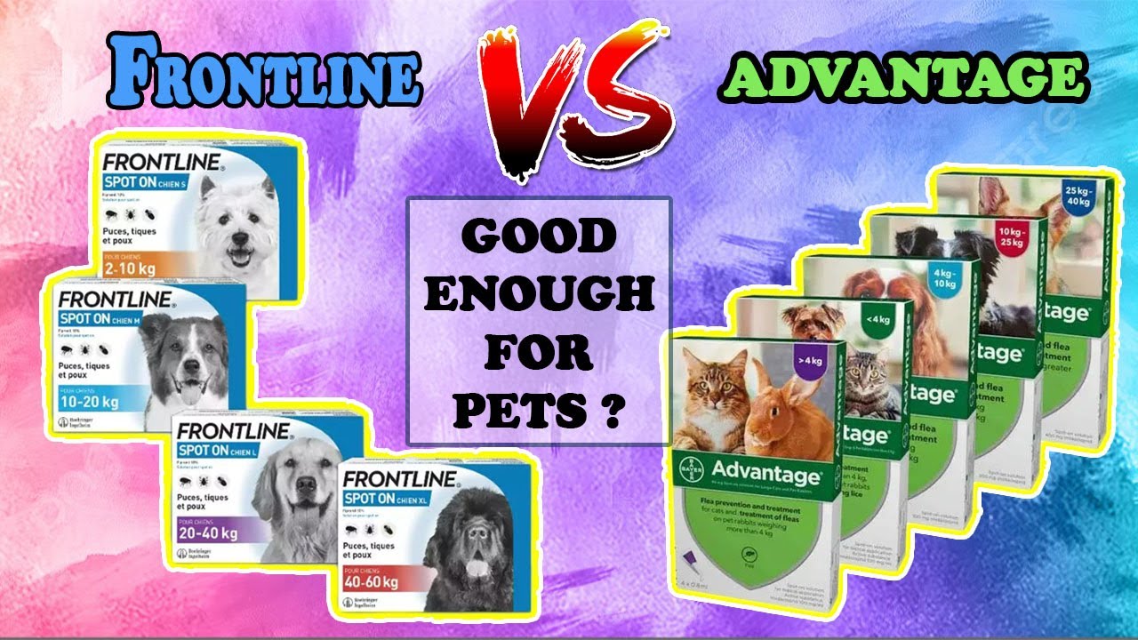 Advantage Flea Treatment Or Frontline Spot On | Flea Treatment For Dogs and Cats