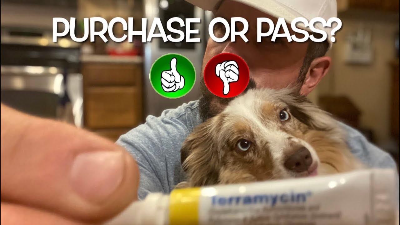 Review of Terramycin Antibiotic Ointment Eye Infection Treatment For Pets